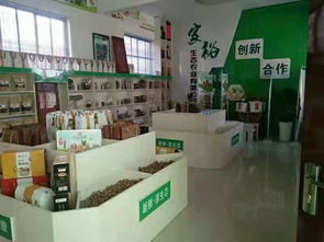 隴小南電商雙十一狂歡盛宴 開啟食品互聯(lián)網(wǎng)銷售新體驗(yàn)